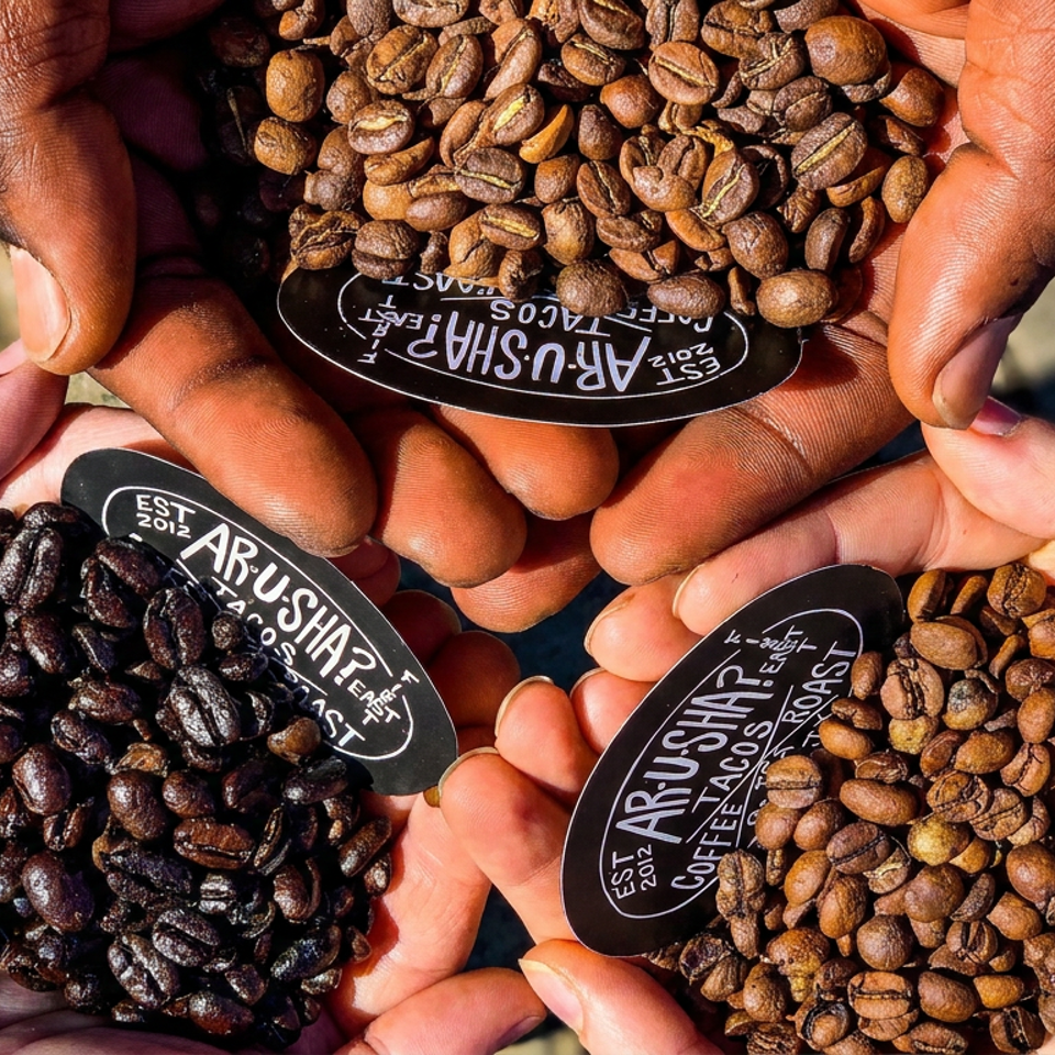 Three hands hold piles of coffee beans at different roast levels, labeled Arusha Coffee Roasters.